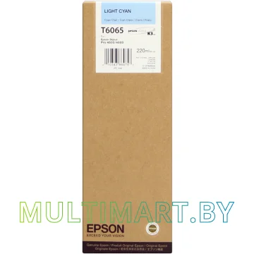 Картридж Epson C13T606500